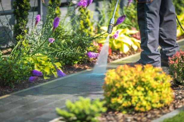 Best Restaurant Pressure Washing  in St Jaco, IL